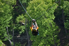 DSC_0037-3-800x533