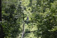 DSC_0061-2-800x533