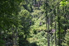 DSC_0084-800x533