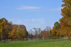 DSC_0125-2-800x533